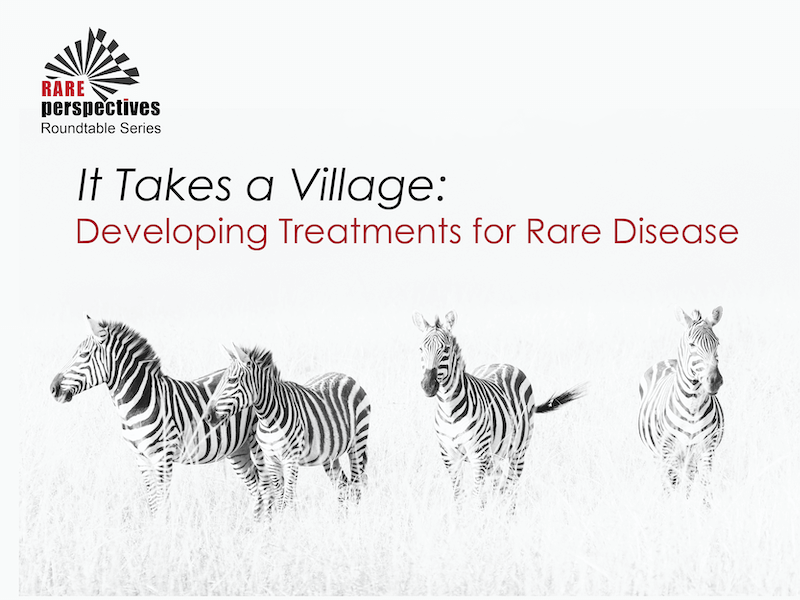 <h5><b>It Takes a Village: Developing Treatments for Rare Disease</h5> </b>